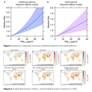 Read more about the article Breathing Clean: How Air Pollution Fuels the Global Asthma Crisis